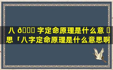 八 🐎 字定命原理是什么意 ☘ 思「八字定命原理是什么意思啊」